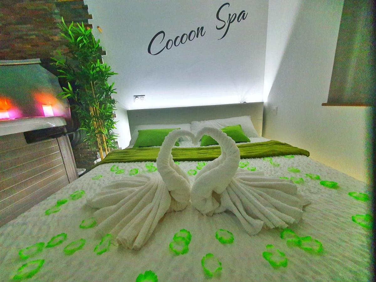 -Gite Cocoon Spa-Jacuzzi-Jardin-Parking Prive-Climatisation Holtzwihr ภายนอก รูปภาพ